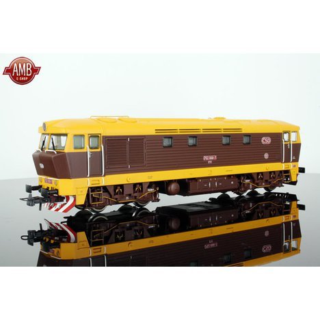 7300026.jpg