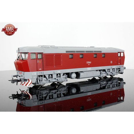 7300028.jpg